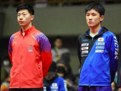​马龙4胜张本智和，世界杯却2-4爆大冷！张本疯狂庆祝，刘国梁哀叹