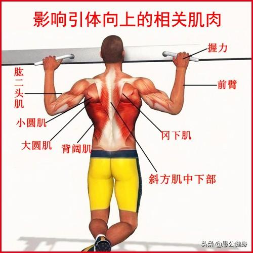 引体向上怎么练做到25个（练好引体向上的良好方法）(5)