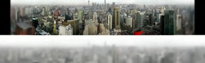 ​马和驴的交配的时想什么？他们会觉得彼此符合自己的择偶标准吗？