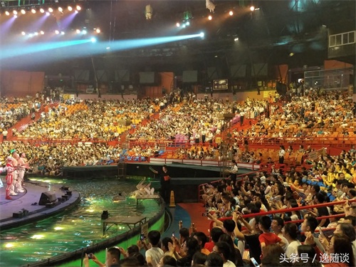 广州长隆国际大马戏，暑期亲子游必选项目，精彩纷呈，让你惊叫连连！
