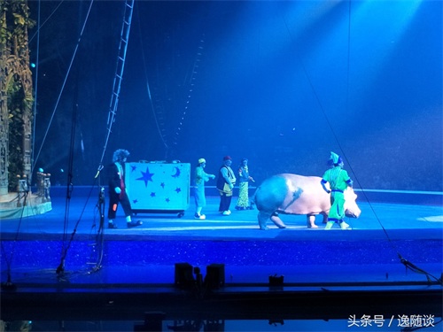 广州长隆国际大马戏，暑期亲子游必选项目，精彩纷呈，让你惊叫连连！