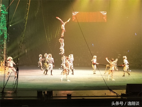 广州长隆国际大马戏，暑期亲子游必选项目，精彩纷呈，让你惊叫连连！