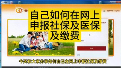 ​自己如何在网上申报社保医保及缴费#会计干货