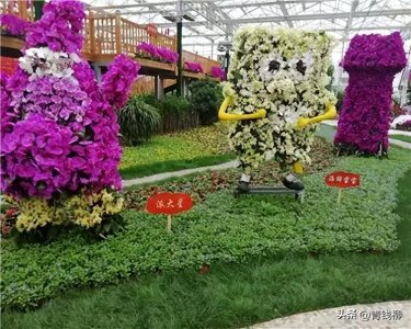 ​无土栽培技术在花卉园艺中的应用探讨