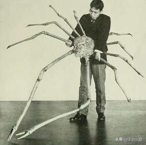​15张罕见的巨物照片：日本蜘蛛蟹比人大，巨型岩石似怪物眼睛