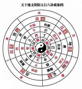 ​快速掌握天干和地支基础介绍