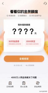 ​网上小额贷款可靠吗？ 京东金条多元举措铸造消费安全护城河