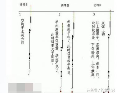 ​台钓调漂傻瓜式教程，一目了然！