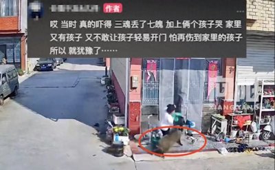 ​上海郊区野猪攻击人？最新：已被特警击毙，事发地并非上海