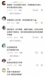 ​黑龙江勃利县通报老虎咬人事件，一村民的胳膊被老虎咬伤