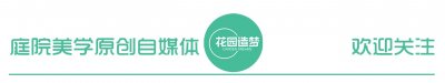 ​树葡萄：庭院中的绿色佳人——种植条件、设计、养护