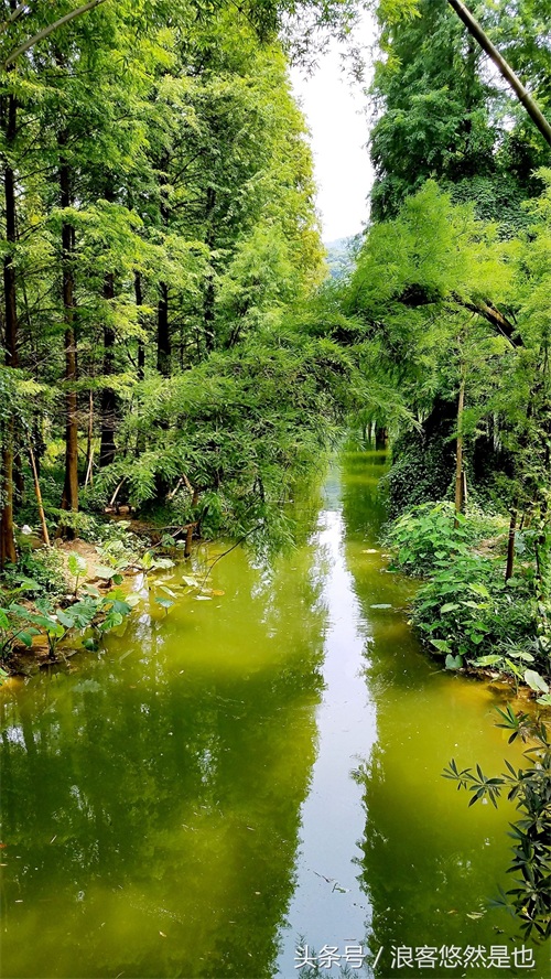 国家级AAAAA景区——广州市白云山风景名胜区，简约之美