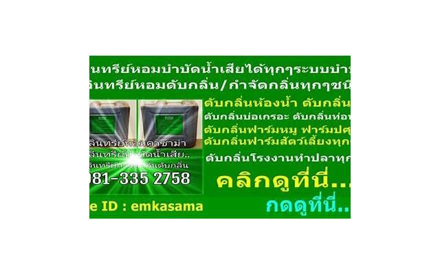 情感和感情哪个更重要？介绍真正的爱情本质
