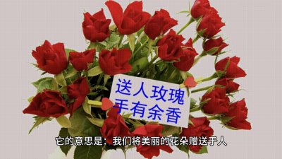 ​赠人玫瑰 手留余香