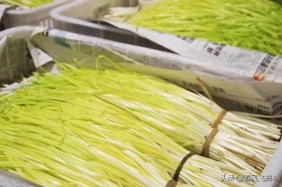 ​深州黄韭——中国特色农产品