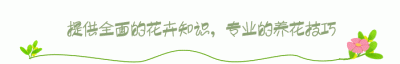 ​绿萝放在卧室对人是否有影响（客厅放什么植物旺财而且全家身体好）