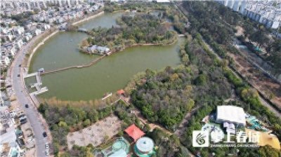 ​百鹭归巢奇观引人赞！ 昆明这个公园解锁观鸟新副本