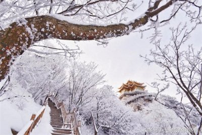 ​河南洛阳老君山：海拔2217米山顶的雪后美景，你一定没见过！