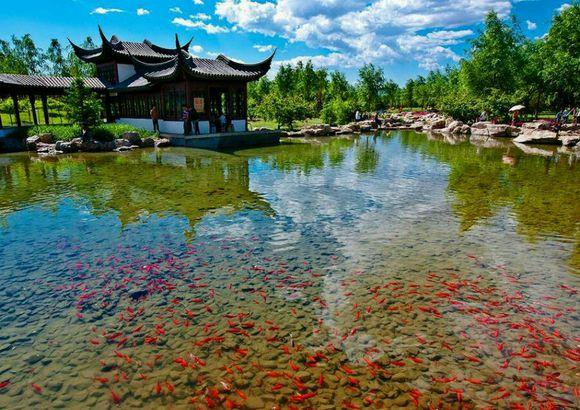 张家口都有什么美好的地方（如果张家口是一个世界）(11)