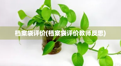 档案袋评价(档案袋评价教师反思)