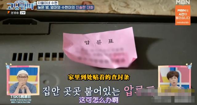 亲子综艺节目排行榜（高中生妈妈带娃的亲子综艺）(32)