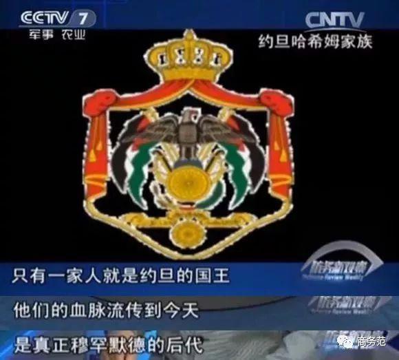 约旦50岁冻龄王后风情万种（最美约旦王后脸僵了）(17)