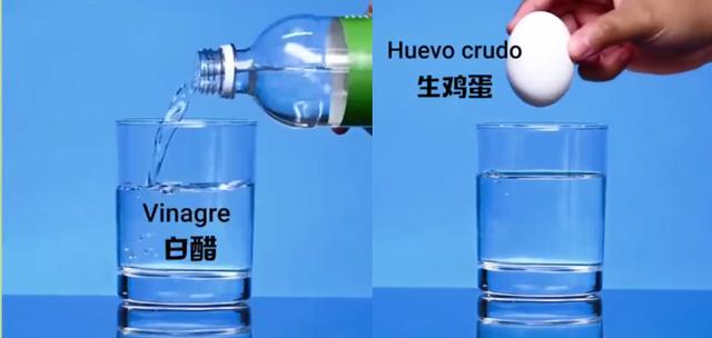 在家就能做的好玩又有趣的小实验（娃看呆了这7个易上手的）(20)