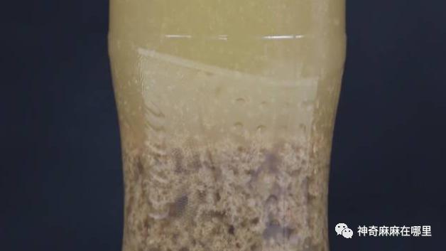 在家就能做的好玩又有趣的小实验（娃看呆了这7个易上手的）(44)