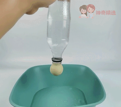 在家就能做的好玩又有趣的小实验（娃看呆了这7个易上手的）(18)