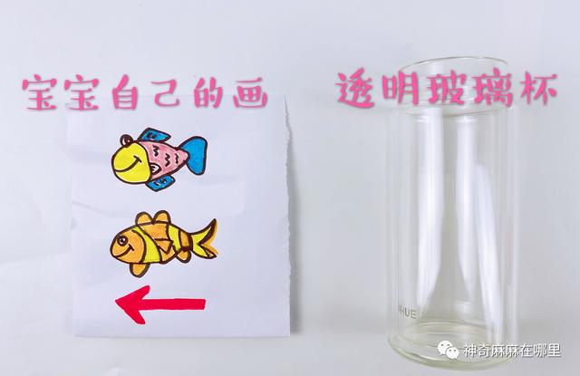 在家就能做的好玩又有趣的小实验（娃看呆了这7个易上手的）(4)