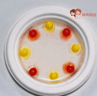 在家就能做的好玩又有趣的小实验（娃看呆了这7个易上手的）(36)