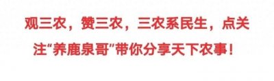 ​好消息？国家出台新政，支持农户养猪，猪肉吃不完可以卖钱？