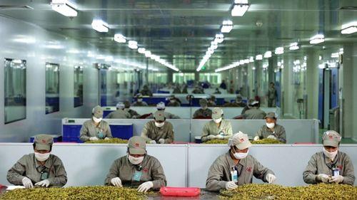 深圳普宁首富黄楚龙（这个普宁富豪终于入狱了）(15)