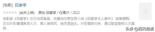 东野圭吾十部必看剧（东野圭吾作品翻拍的48部影视剧）(57)