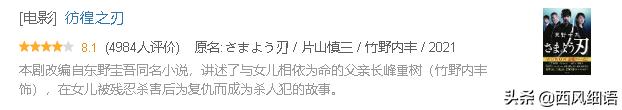东野圭吾十部必看剧（东野圭吾作品翻拍的48部影视剧）(14)