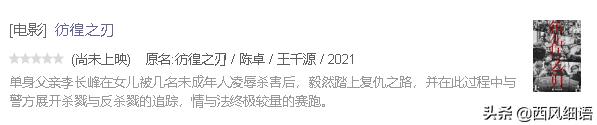 东野圭吾十部必看剧（东野圭吾作品翻拍的48部影视剧）(17)