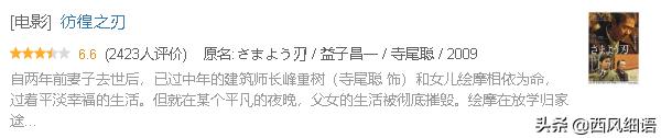 东野圭吾十部必看剧（东野圭吾作品翻拍的48部影视剧）(15)