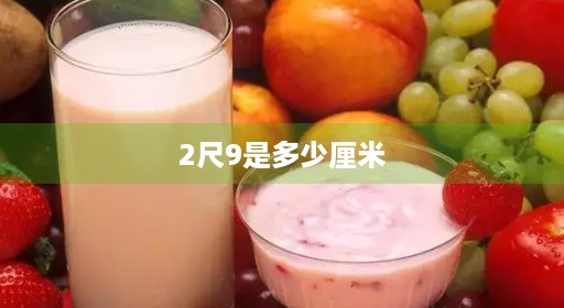 2尺9是多少厘米