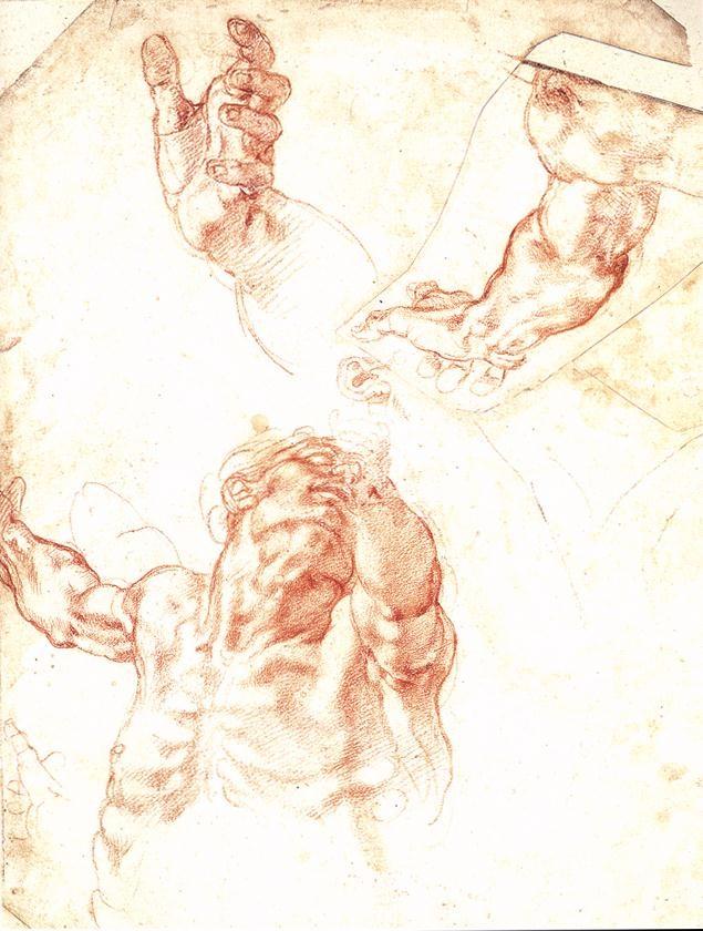 米开朗基罗素描作品（米开朗基罗的绘画）(57)