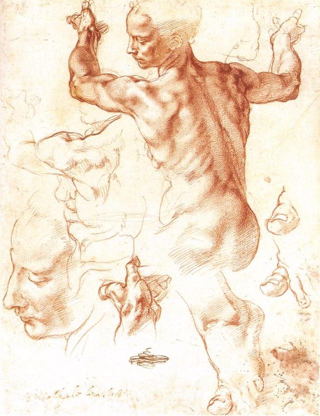 米开朗基罗素描作品（米开朗基罗的绘画）(22)