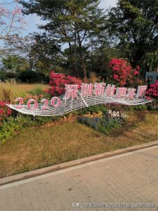 ​广东省深圳市莲花山公园