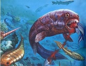 惊!鲨鱼都敢吃的超级海怪邓氏鱼,你敢看吗?