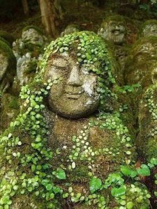 ​我愿化身石桥