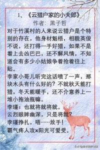 ​耽推！夫君是夫郎的甜宠文，携手小夫郎一起发家致富顺便执子之手