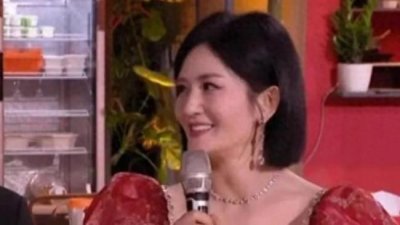 ​谢娜幽默回应未主持跨年晚会