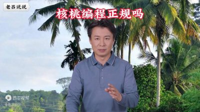 ​核桃编程正规吗？