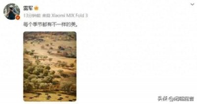 ​笑死！雷军最新微博未为小米14预热 网友坐不住了