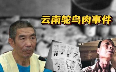​那些最恶性的凶sha案“云南鸵鸟肉事件”