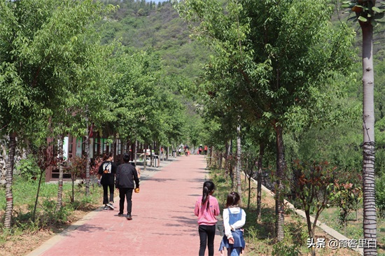 河南巩义长寿山掠影：不美但有趣