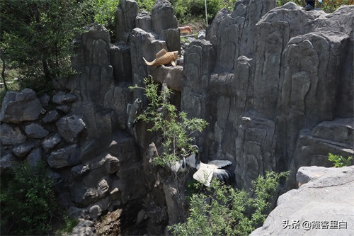河南巩义长寿山掠影：不美但有趣